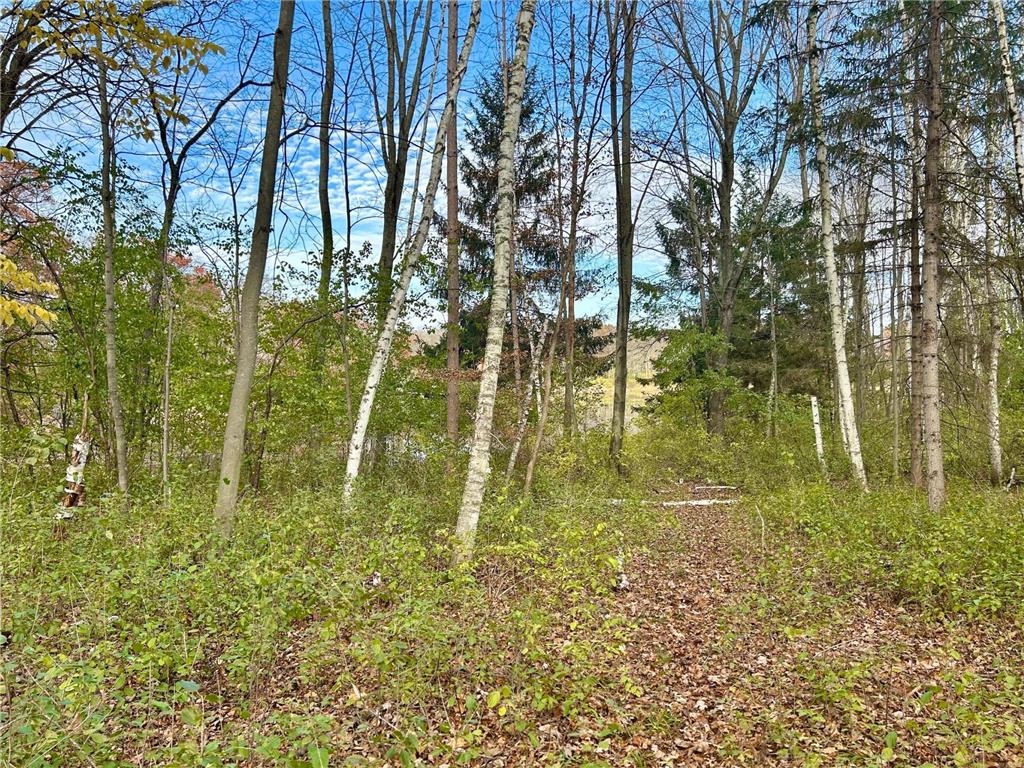 1089 65th Avenue #F Lincoln Twp WI 54001 6810530 image45