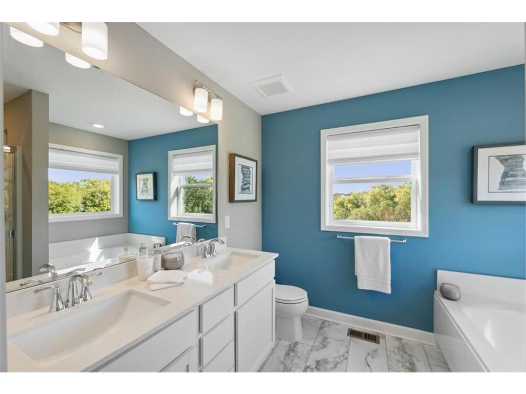 10891 Henslowe Avenue S Cottage Grove MN 55016 7069682 image18