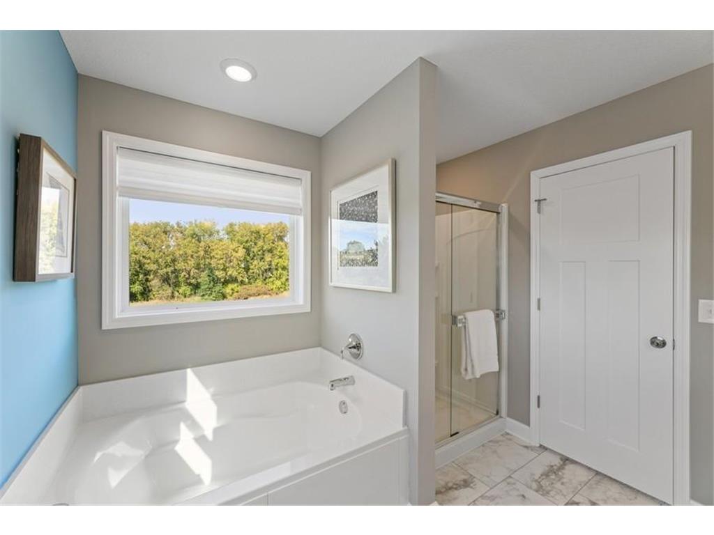 10891 Henslowe Avenue S Cottage Grove MN 55016 7069682 image19