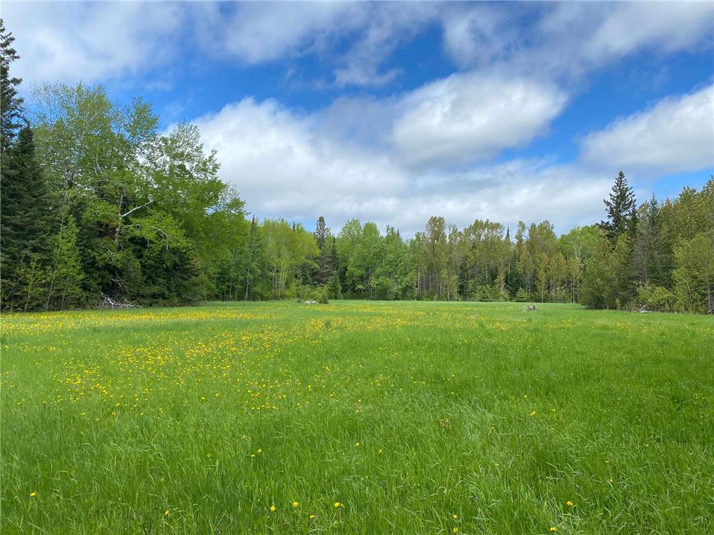 10891 Highway 71 South Koochiching Unorg. Terr. MN 56660 6543892 image1