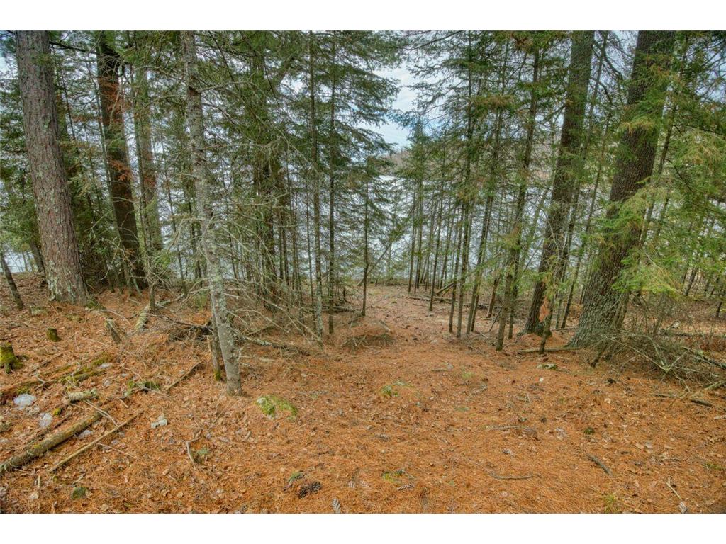 10894 Bessette Road Leiding Twp MN 55771 - Pelican 7043243 image18