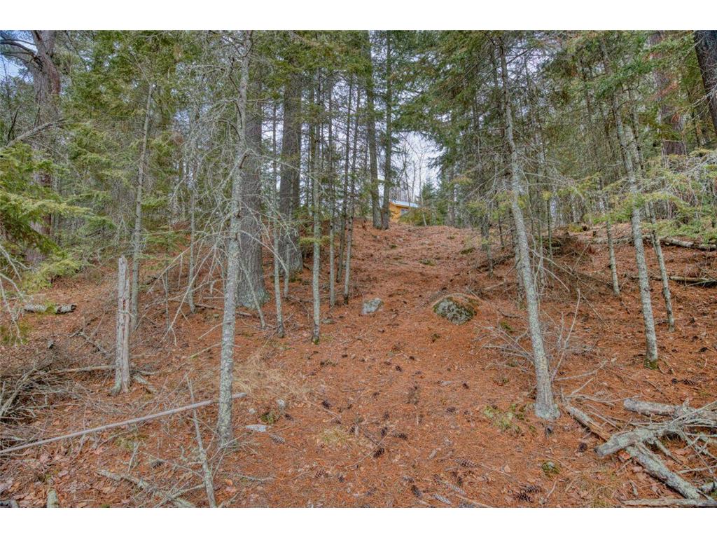 10894 Bessette Road Leiding Twp MN 55771 - Pelican 7043243 image19