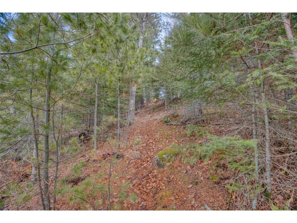 10894 Bessette Road Leiding Twp MN 55771 - Pelican 7043243 image28