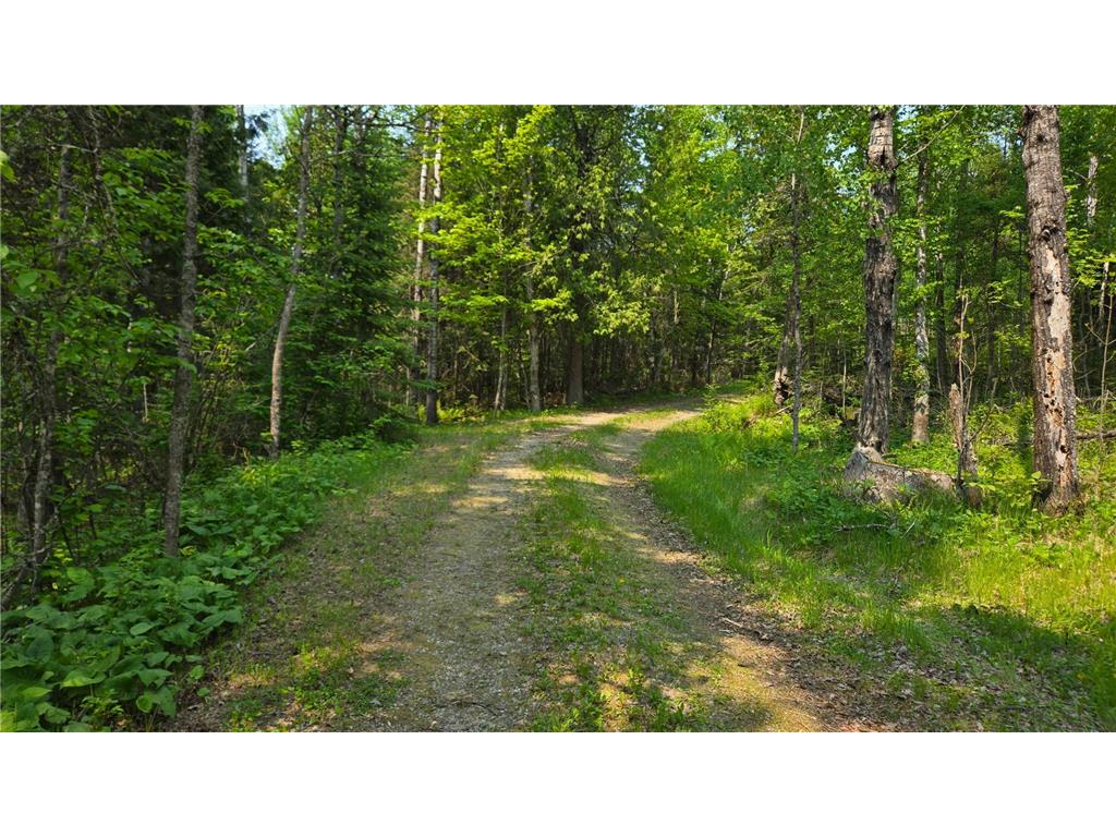 10898 Bessette Road Orr MN 55771 - Pelican 6731976 image51