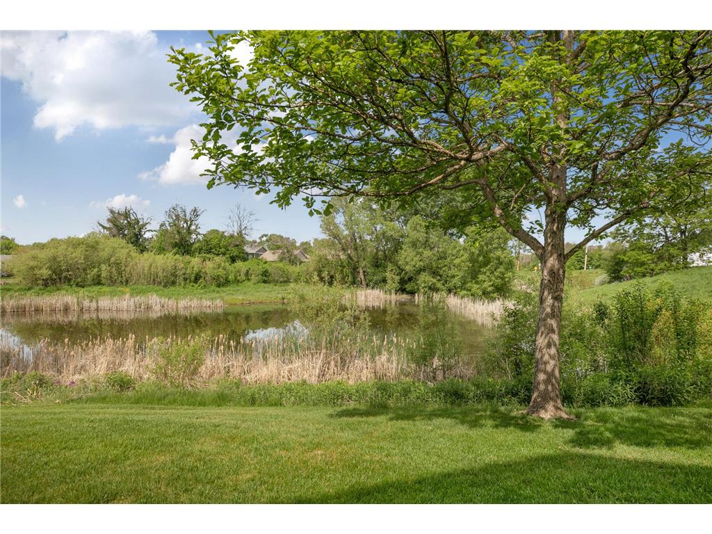 10898 Tyler Court NE Blaine MN 55434 7079714 image34