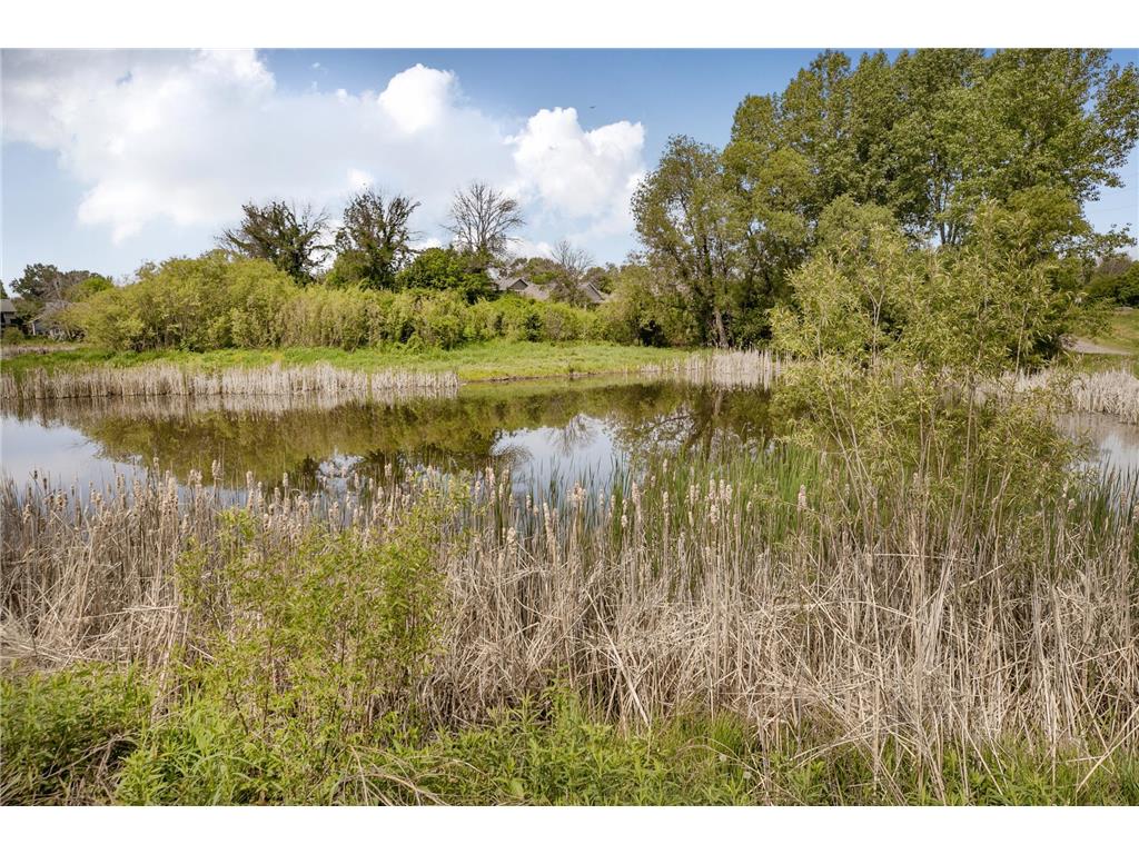 10898 Tyler Court NE Blaine MN 55434 7079714 image35