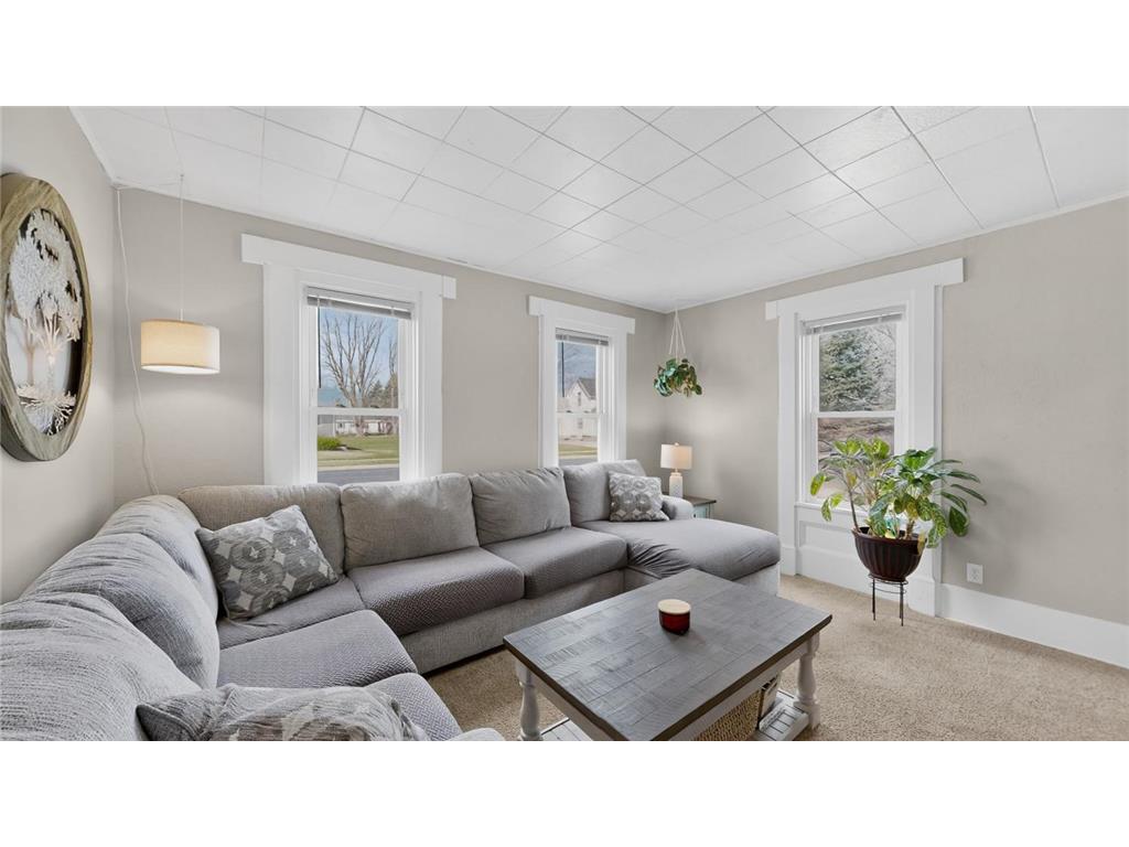 109 2nd Avenue NW Pine Island MN 55963 7048612 image12