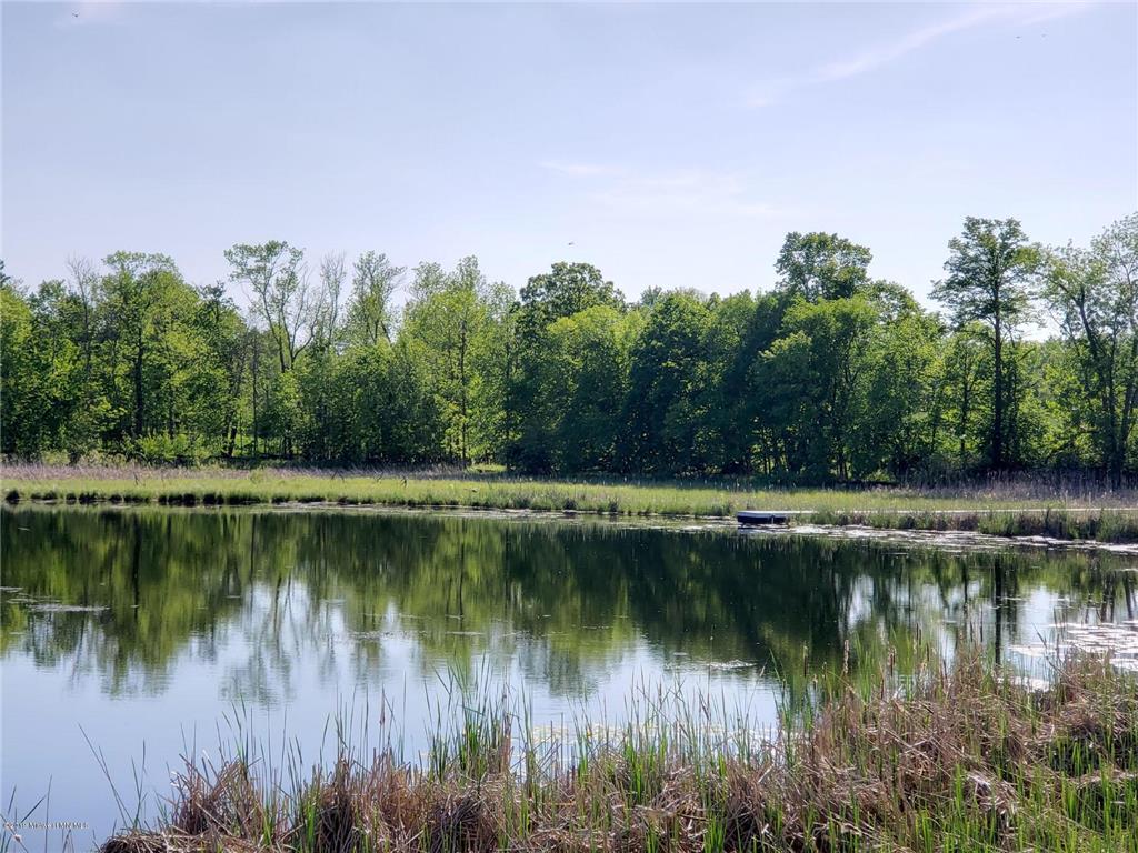 109 Altavista Drive Detroit Lakes MN 56501 - Detroit 6207741 image11