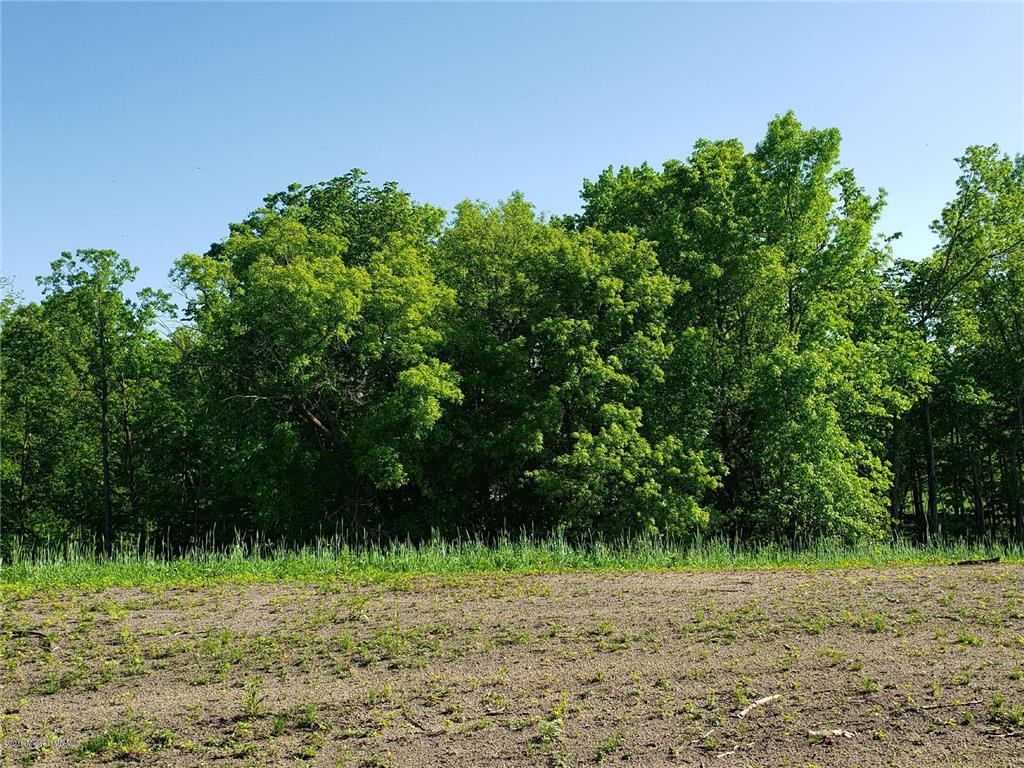 109 Altavista Drive Detroit Lakes MN 56501 - Detroit 6207741 image15