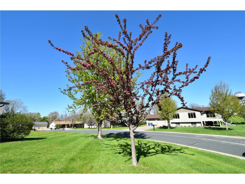 109 Brenda Lane Goodhue MN 55027 7090603 image8