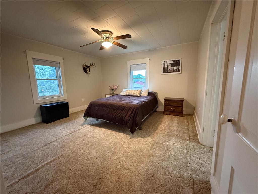109 E Luella Street Le Roy MN 55951 7085433 image10
