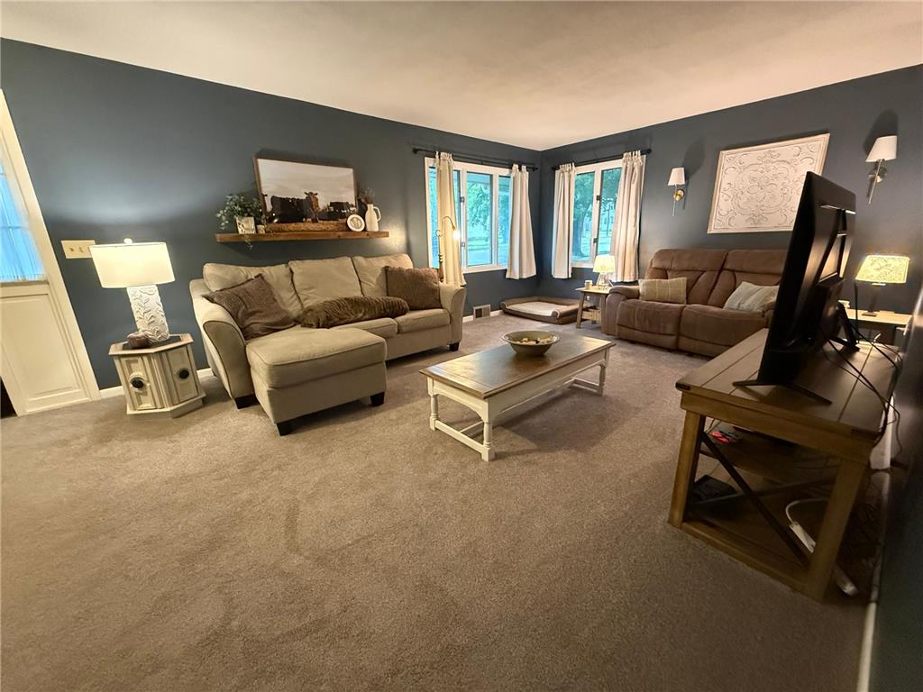 109 E Luella Street Le Roy MN 55951 7085433 image5