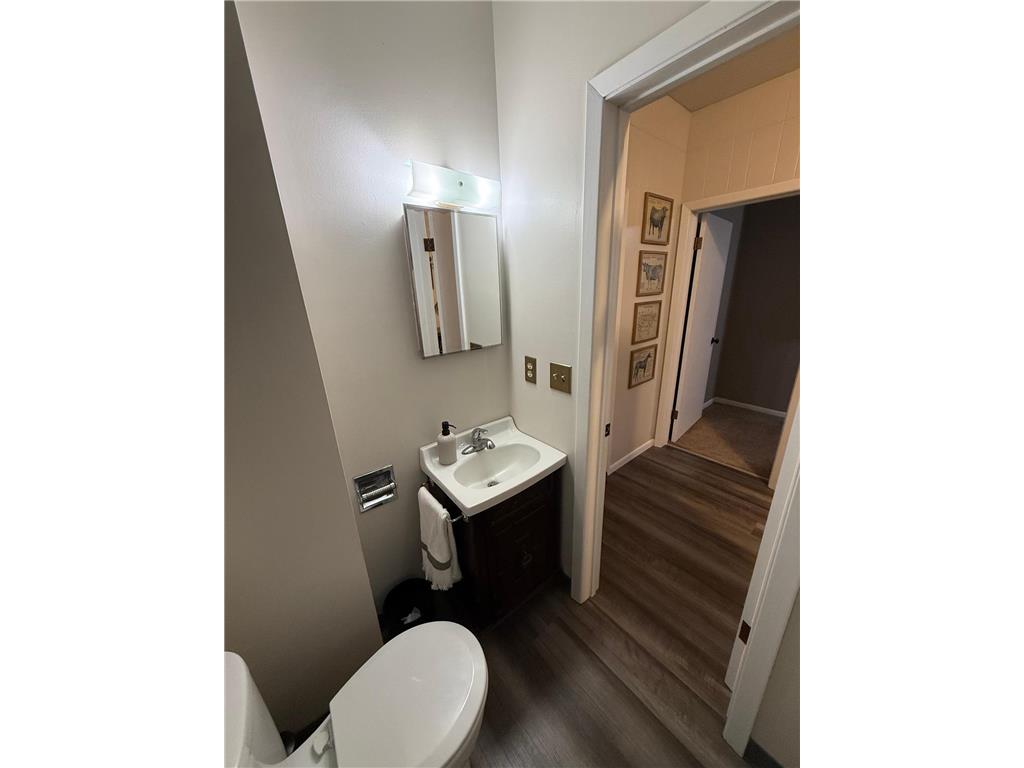 109 E Luella Street Le Roy MN 55951 7085433 image8
