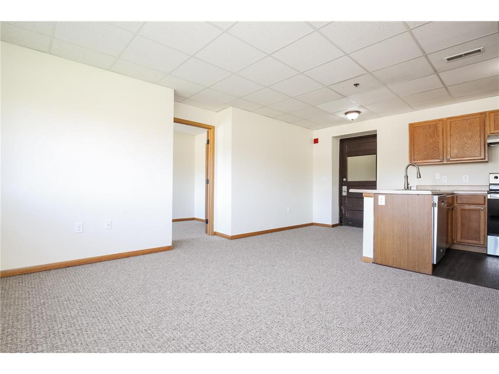 109 E Luverne Street #Units 101-336 Luverne MN 56156 7104049 image22