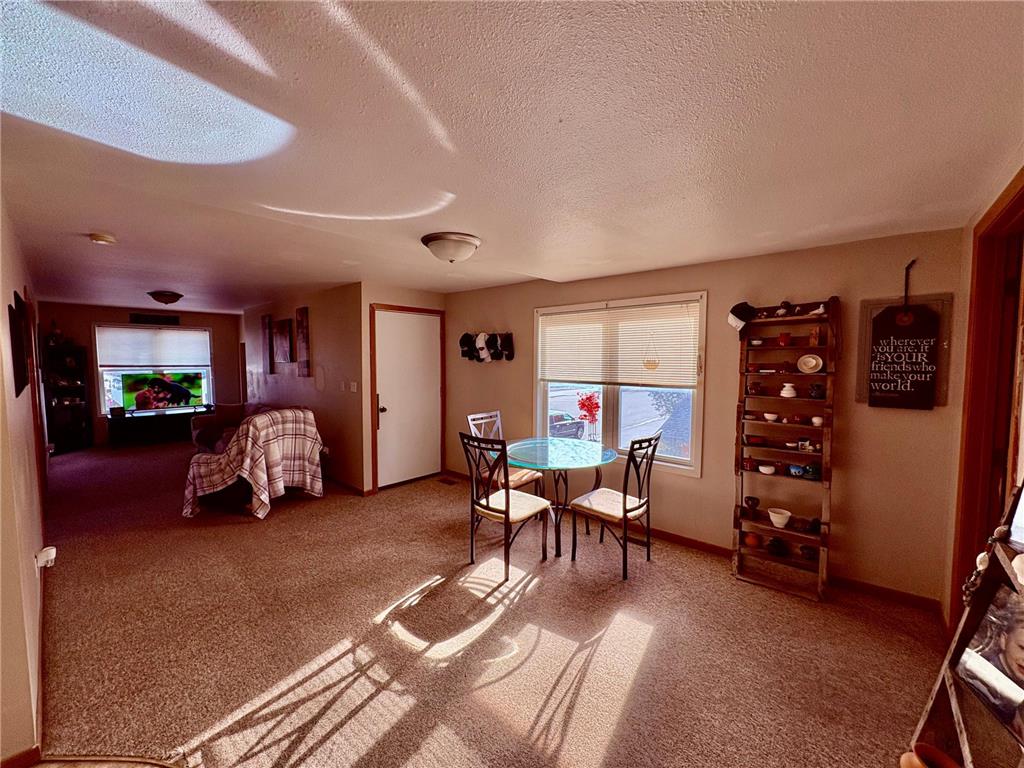 109 Main Avenue S Baudette MN 56623 6808843 image12