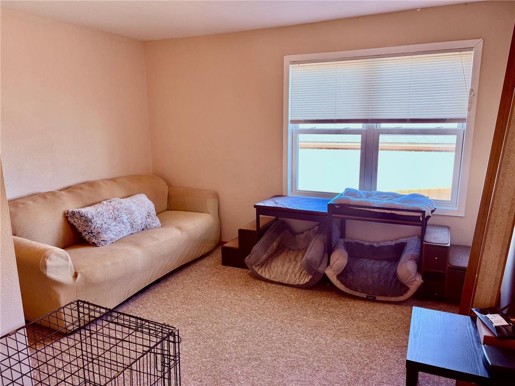 109 Main Avenue S Baudette MN 56623 6808843 image20