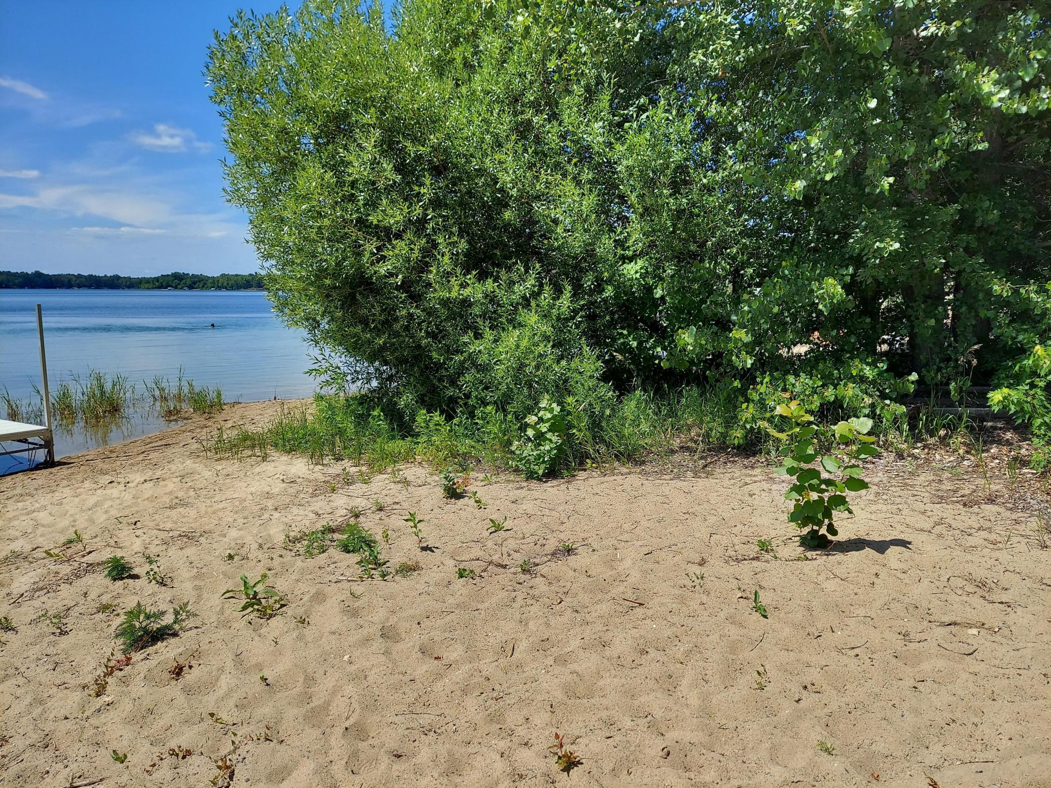 109 Park Street, Nevis, MN, 56467 MLS 6010757 Edina Realty