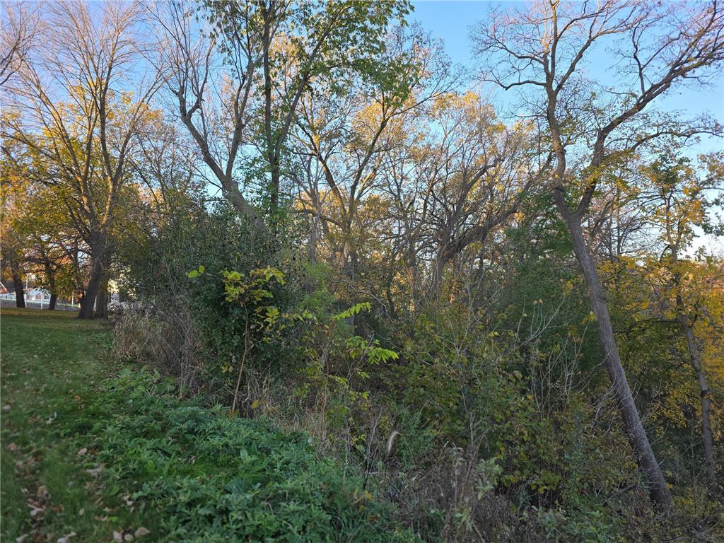 109 W Bridge Street W Redwood Falls MN 56283 - Redwood River 6814396 image5