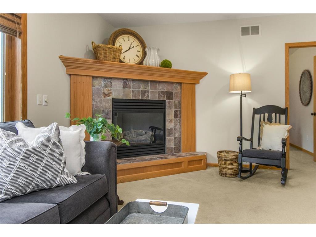 10900 Alison Way Inver Grove Heights MN 55077 7110497 image11