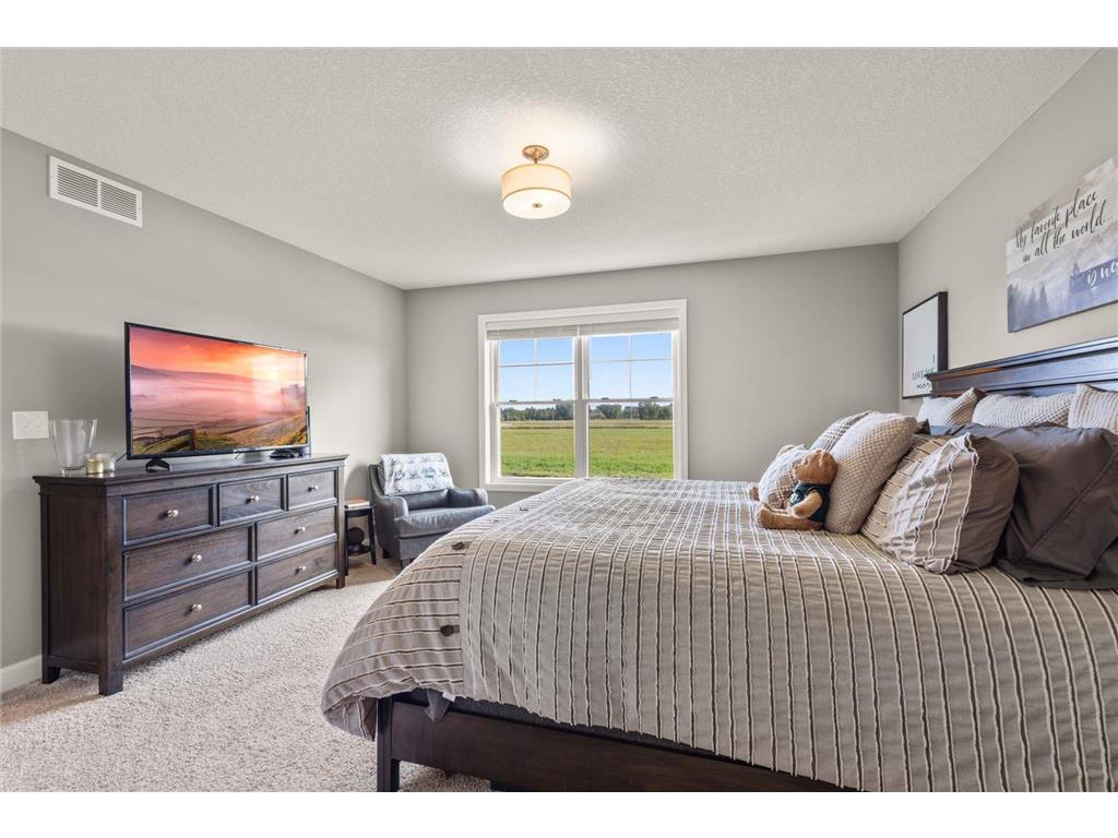 10911 Zest Street NE #D Blaine MN 55449 6826618 image14