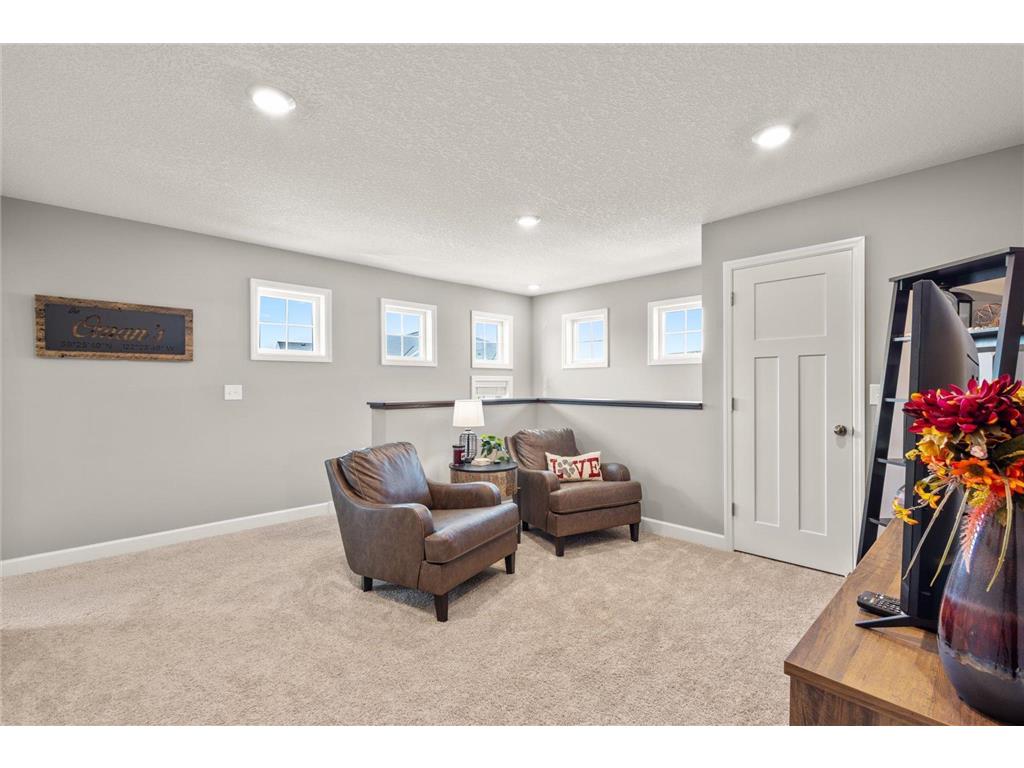 10911 Zest Street NE #D Blaine MN 55449 6826618 image18