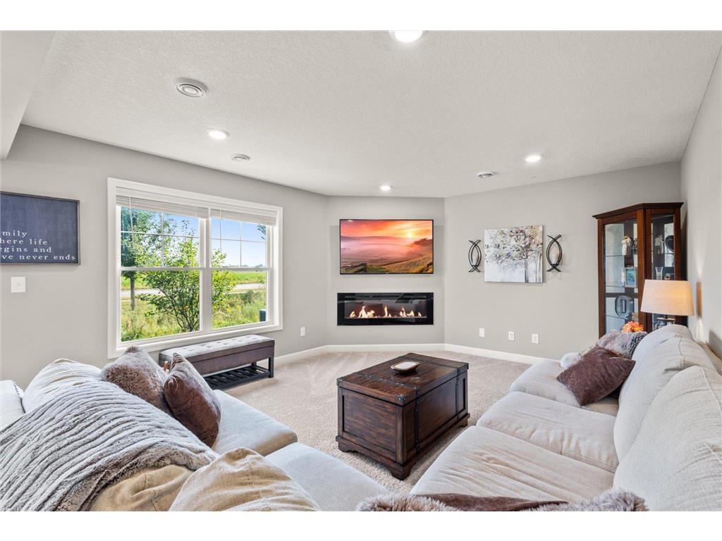 10911 Zest Street NE #D Blaine MN 55449 6826618 image7