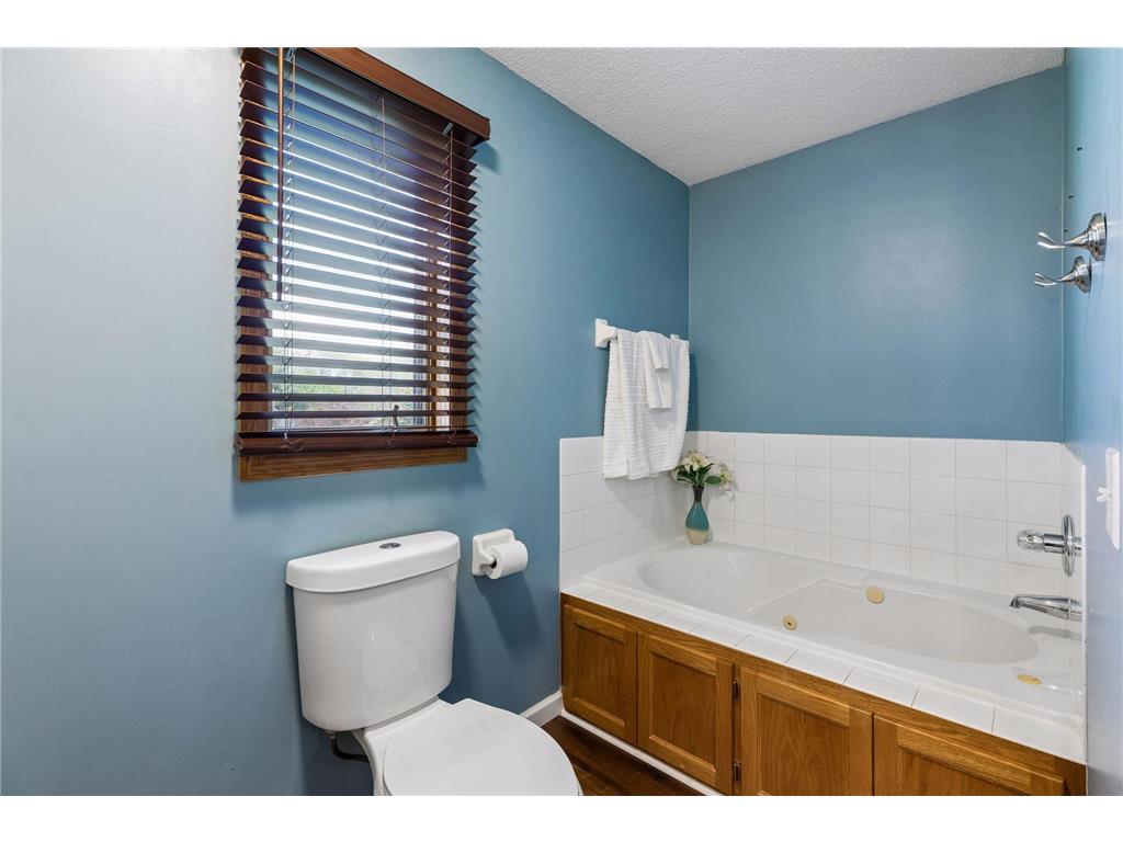 10916 Timberline Drive N Champlin MN 55316 7044413 image33