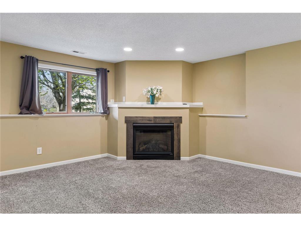 10916 Timberline Drive N Champlin MN 55316 7044413 image43