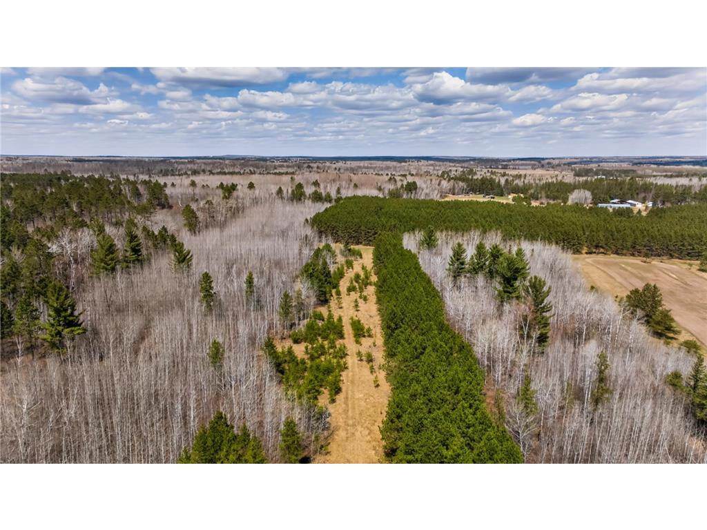 10918 County 95 Laporte MN 56461 7071491 image31