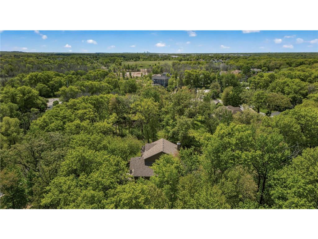 10920 Flanders Court NE Blaine MN 55449 7067170 image85