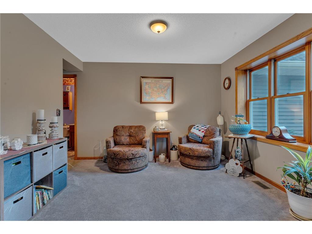 10920 N Shore Drive New London Twp MN 56288 7097730 image25