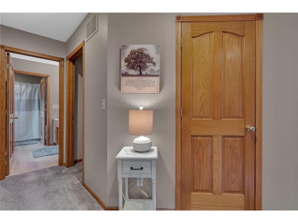 10920 N Shore Drive New London Twp MN 56288 7097730 image30