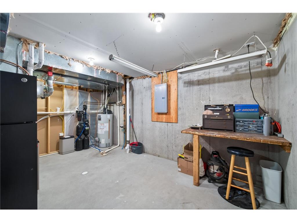 10922 Brookside Trail N Champlin MN 55316 7046868 image49