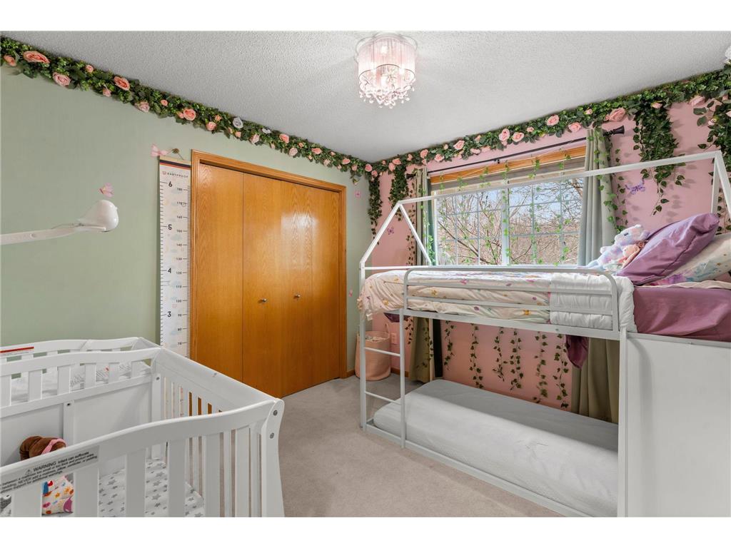 10924 Fox Hollow Lane N Champlin MN 55316 7043443 image11