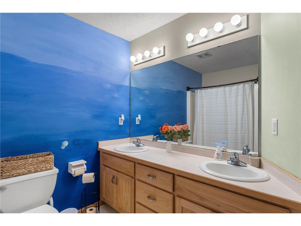 10924 Fox Hollow Lane N Champlin MN 55316 7043443 image13