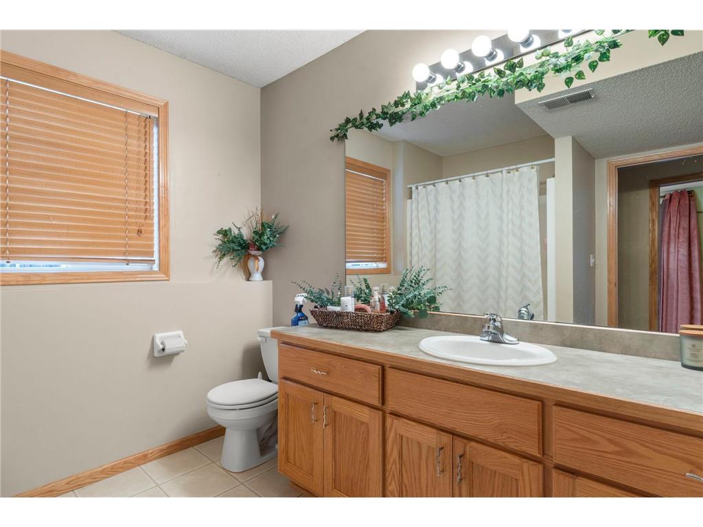 10924 Fox Hollow Lane N Champlin MN 55316 7043443 image18