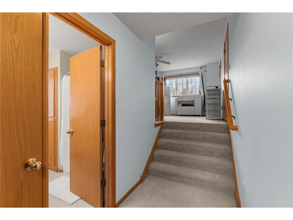 10924 Fox Hollow Lane N Champlin MN 55316 7043443 image8