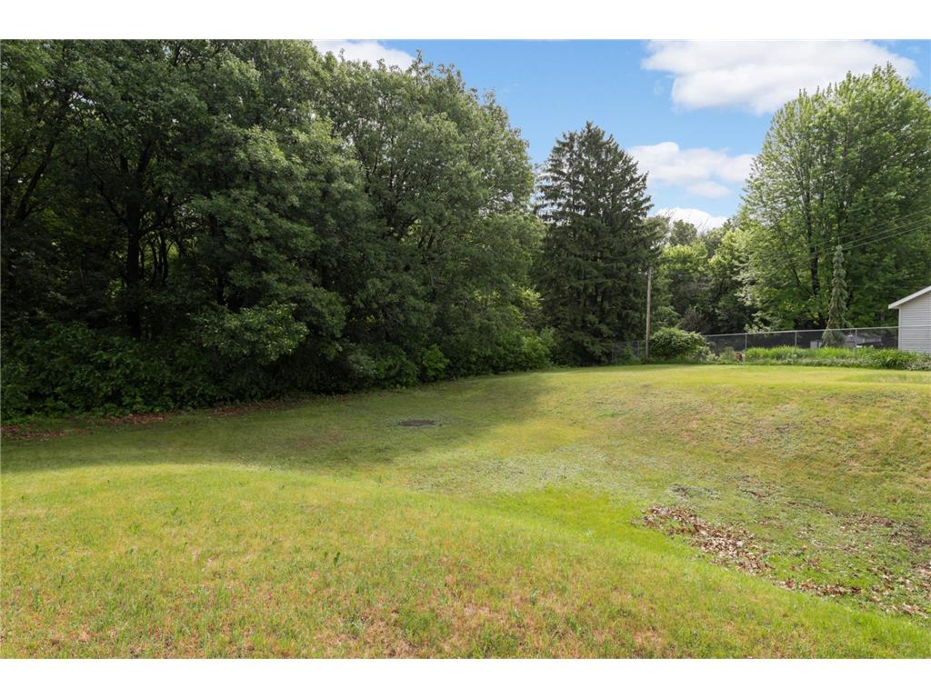 10928 London Drive Burnsville MN 55337 7105038 image39