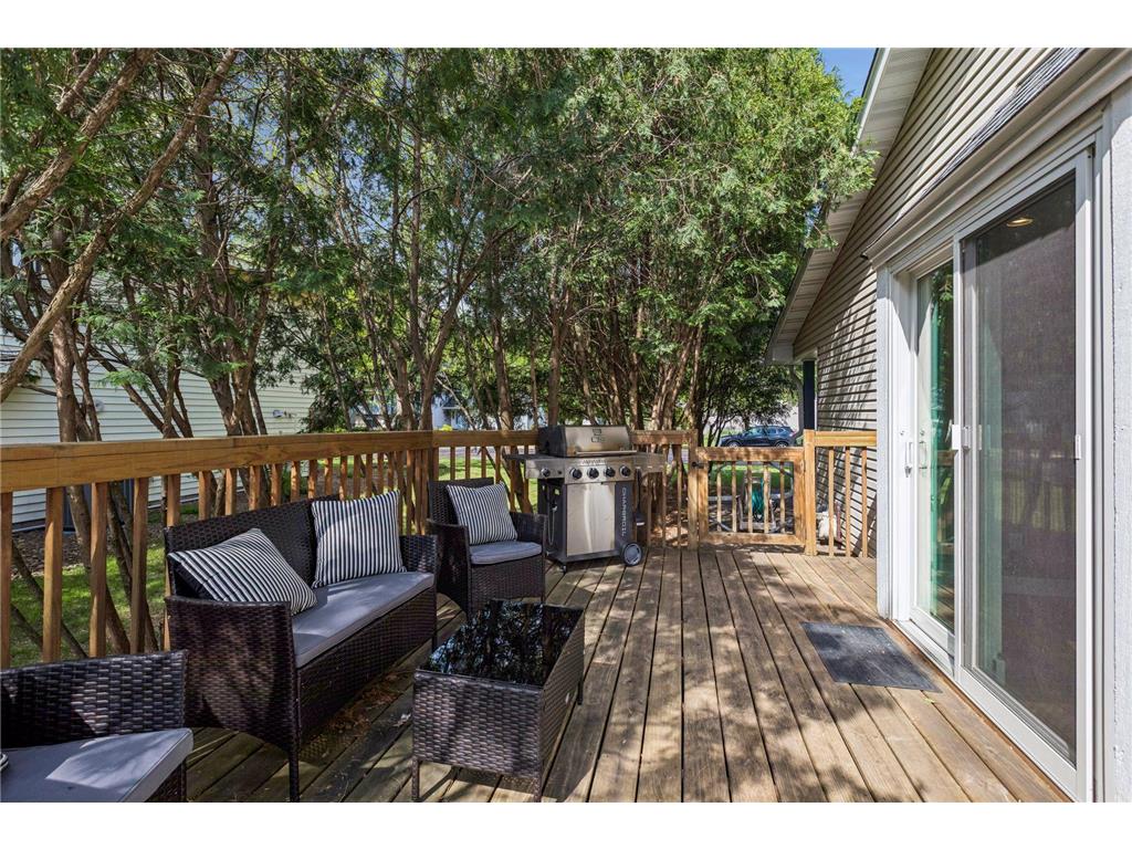 10928 Maryland Avenue N Champlin MN 55316 7072811 image29