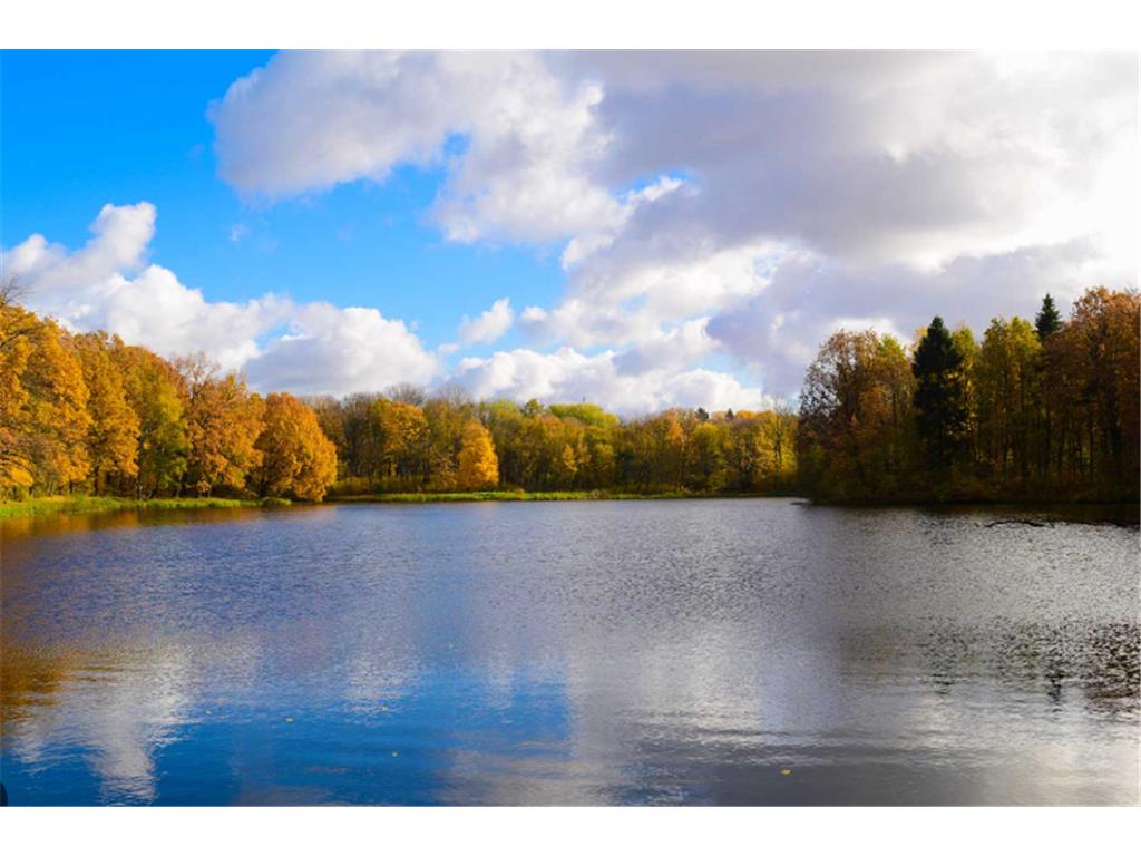 10937 37th Street N Lake Elmo MN 55042 7036726 image63