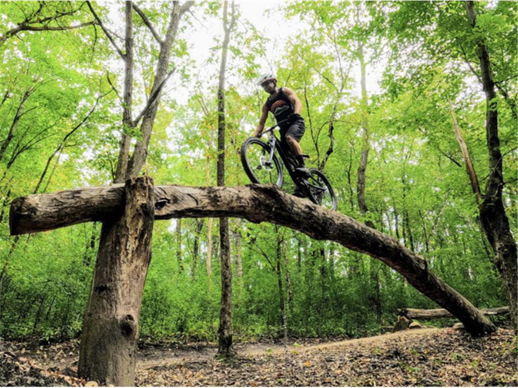 10937 37th Street N Lake Elmo MN 55042 7036726 image64