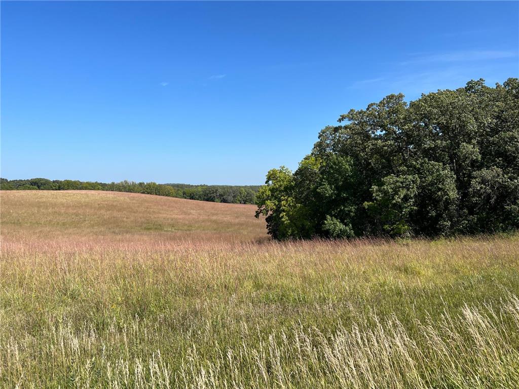 10937 County Road 15 SW Kensington MN 56343 6432243 image1