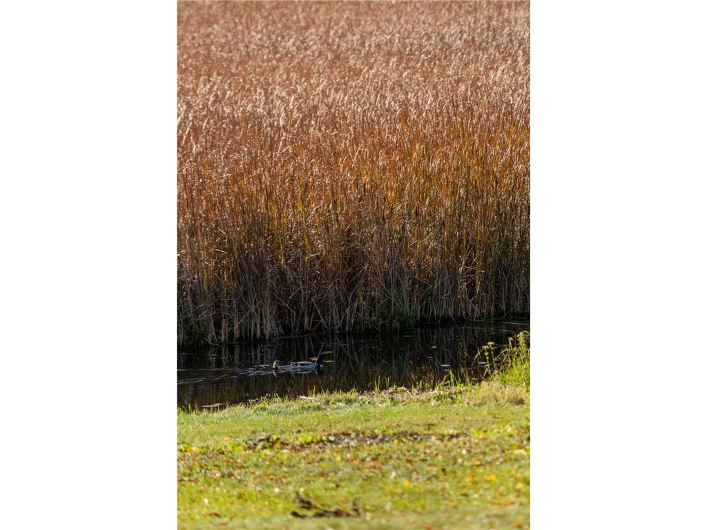 10947 69th Avenue N Maple Grove MN 55369 - Eagle 7022653 image53