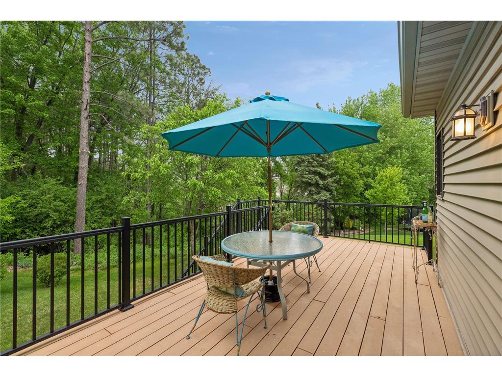 10947 Alexandra Court Inver Grove Heights MN 55077 7065787 image17