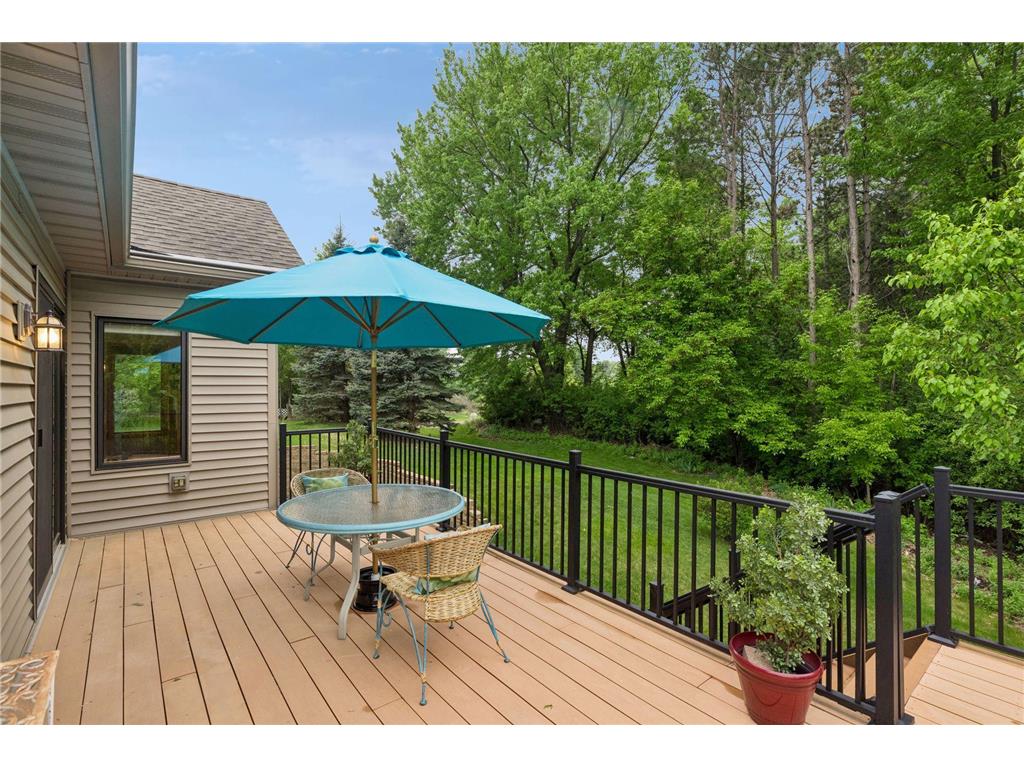 10947 Alexandra Court Inver Grove Heights MN 55077 7065787 image18
