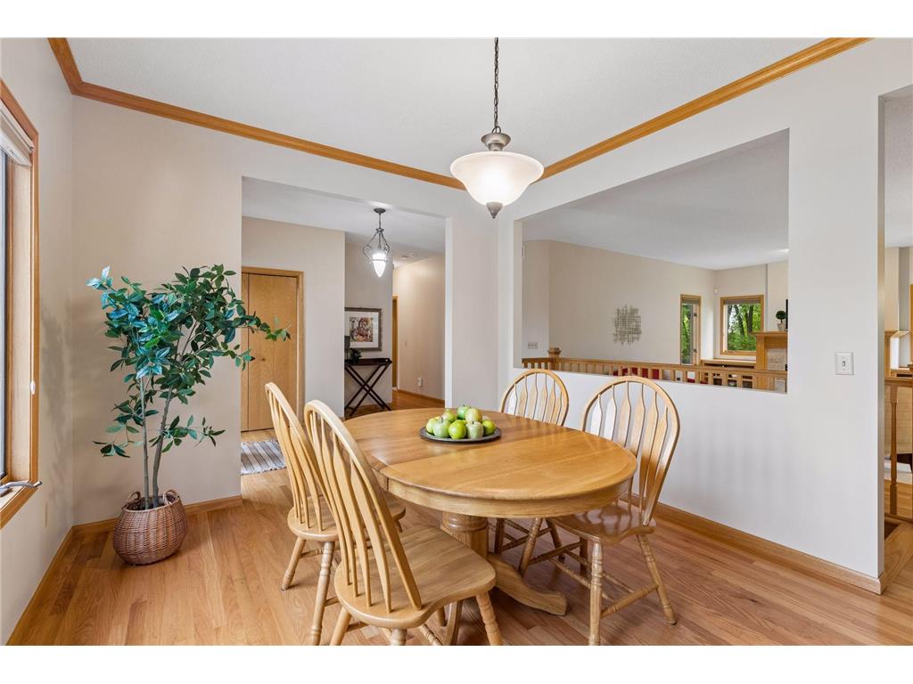 10947 Alexandra Court Inver Grove Heights MN 55077 7065787 image22