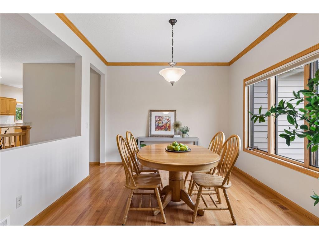 10947 Alexandra Court Inver Grove Heights MN 55077 7065787 image23