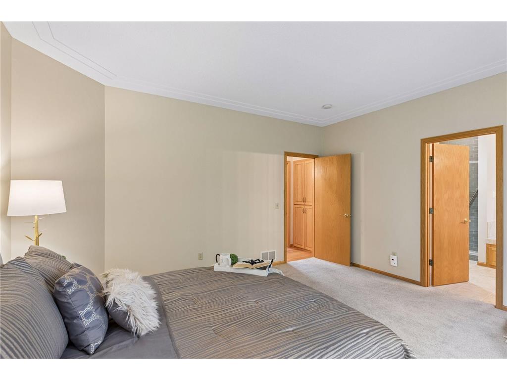 10947 Alexandra Court Inver Grove Heights MN 55077 7065787 image25