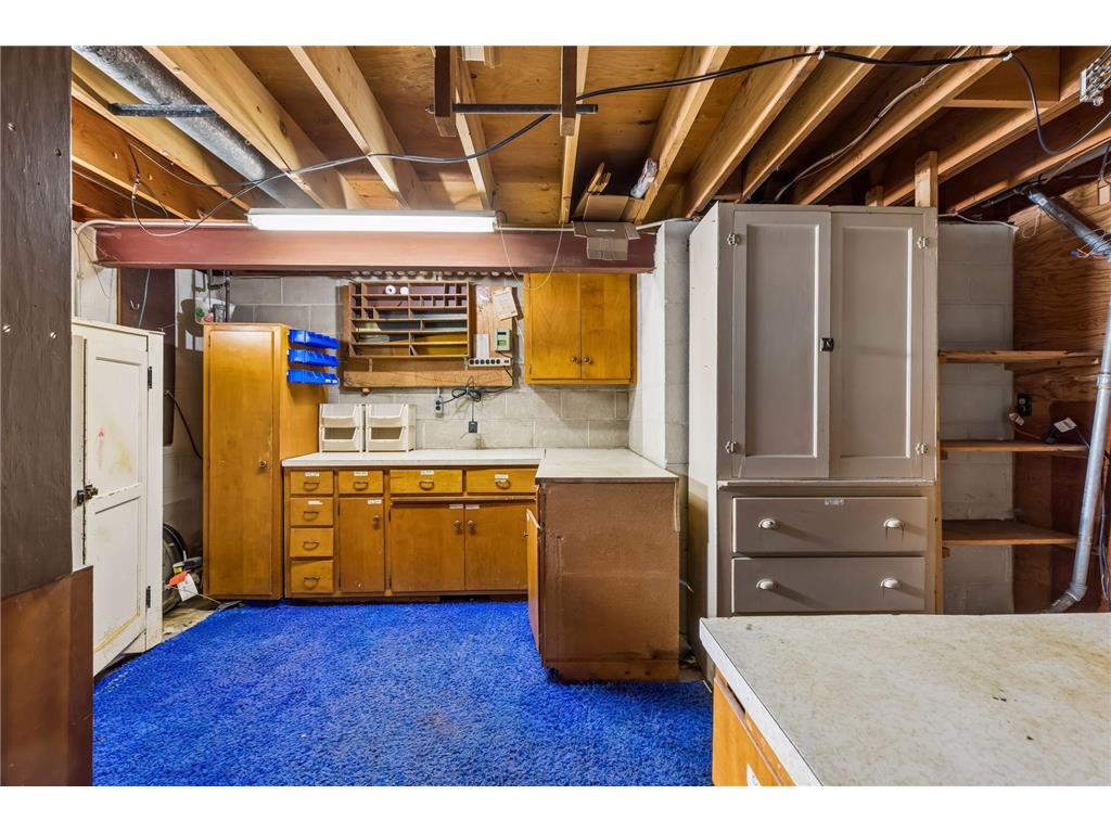 1096 Carrie Street West Saint Paul MN 55118 - Lilly 7049506 image23