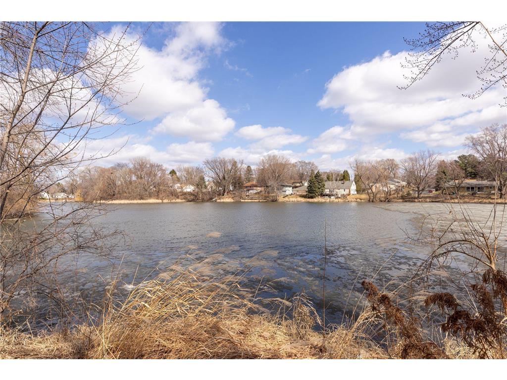 1096 Carrie Street West Saint Paul MN 55118 - Lilly 7049506 image34